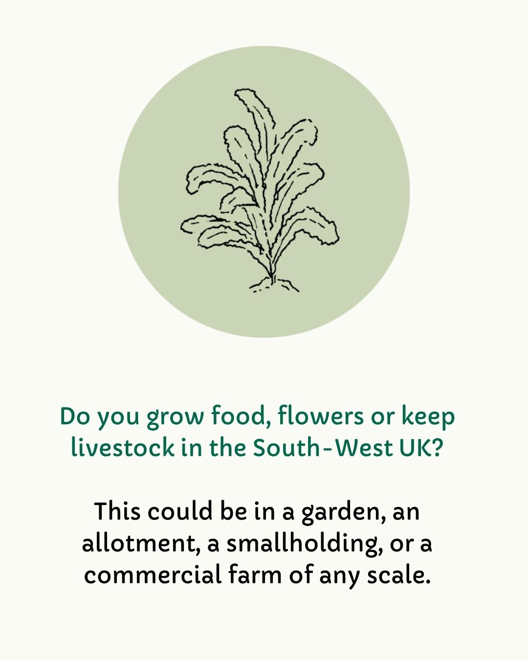 Do you grow food, flowers or keep livestock in the South-West UK? This could be in a garden, an allotment, a smallholding, or a commercial farm of any scale.

With a simple illustration of some kale.