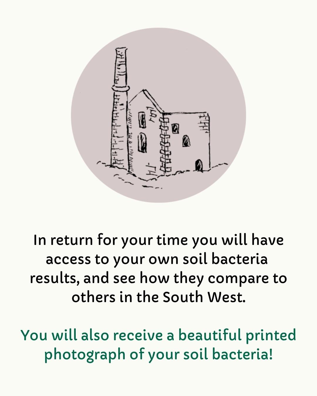 In return for your time you will have access to your own soil bacteria 
results, and see how they compare to others in the South West. You will also receive a beautiful printed photograph of your soil bacteria!

With a simple illustration of an old mine engine house.